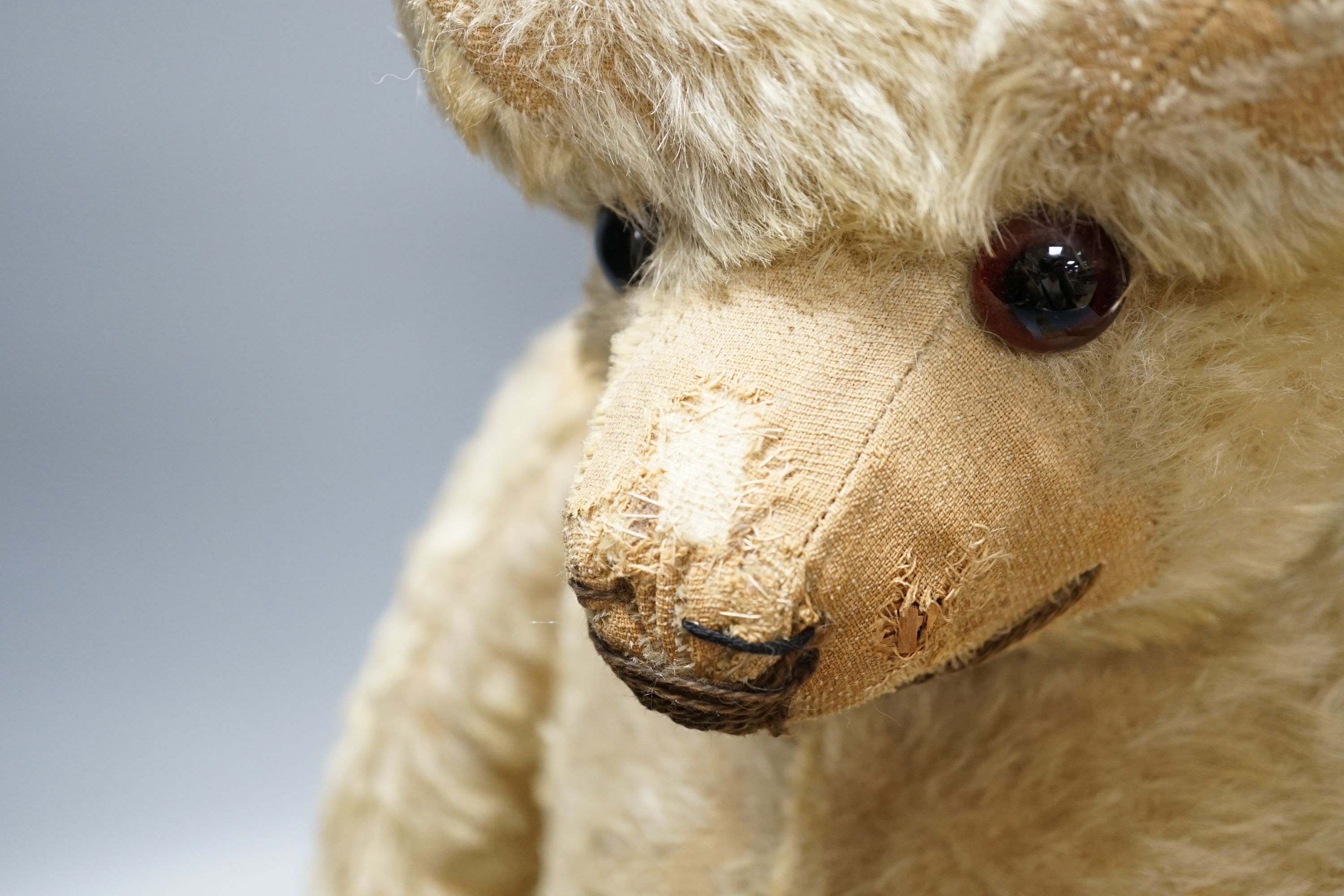 A large 1920's Chad Valley Teddy bear, 75cm, together with another 1920's Chad Valley Teddy bear, play-worn